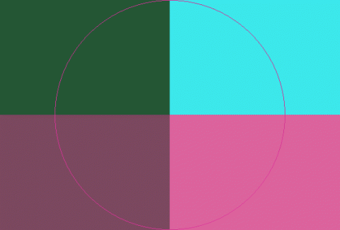 Aptent consectetuer ea et exputo gravis oppeto utinam.